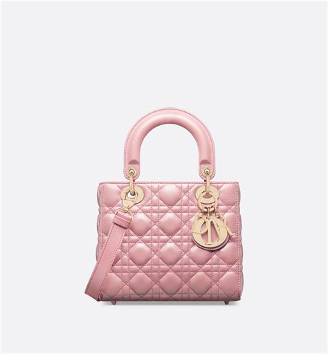 kleine dior tas